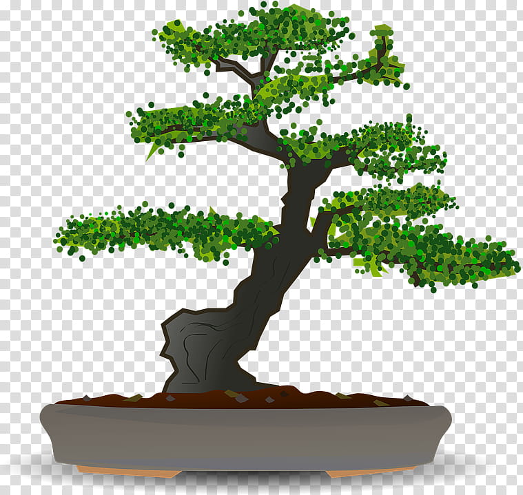 Family Tree, Bonsai, Bonsai Styles, National Bonsai Foundation, Bonsai Cultivation And Care, Garden, Chinese Sweet Plum, Flowerpot transparent background PNG clipart