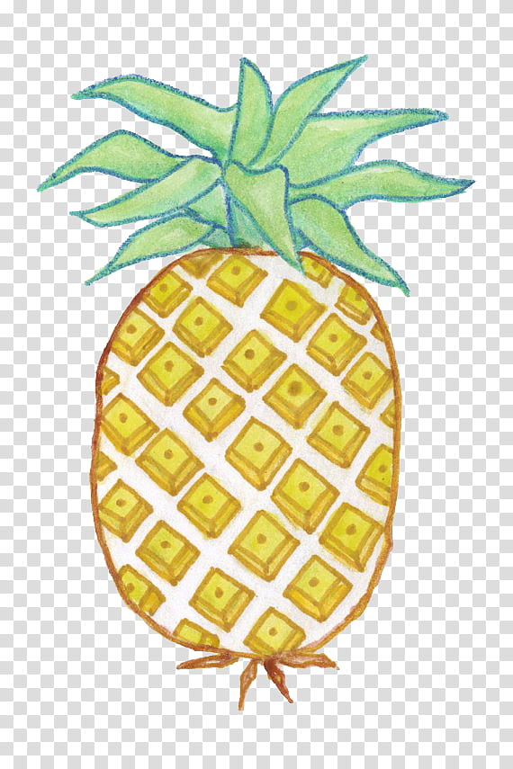 Pineapple, white, yellow, and green pineapple transparent background PNG clipart