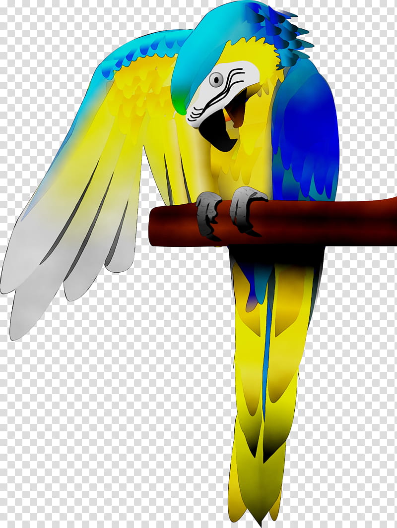 Bird Parrot, Macaw, Parakeet, Feather, Beak, Yellow, Pet, Wing transparent background PNG clipart