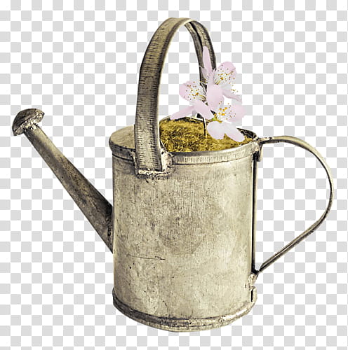 grey watering can with blooming white flowers transparent background PNG clipart