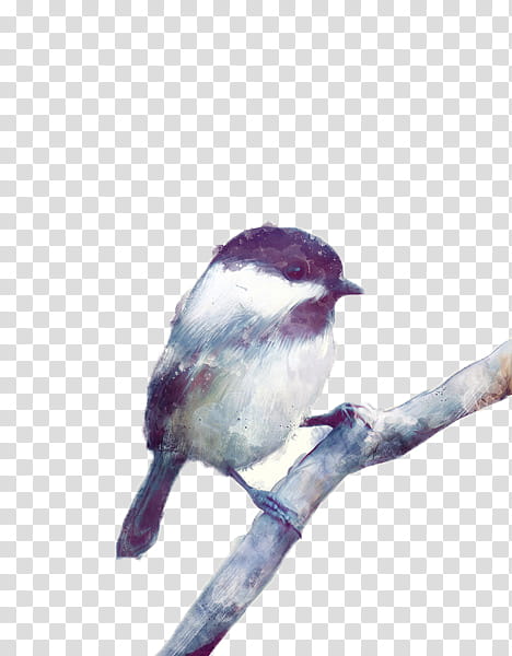 Vintage Birds, black and white bird perching on tree branch transparent background PNG clipart