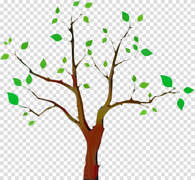 Family Tree, Honolulu, Society, Genealogy, Honolulu County Genealogical Society, Gratis, Hawaii, Branch transparent background PNG clipart