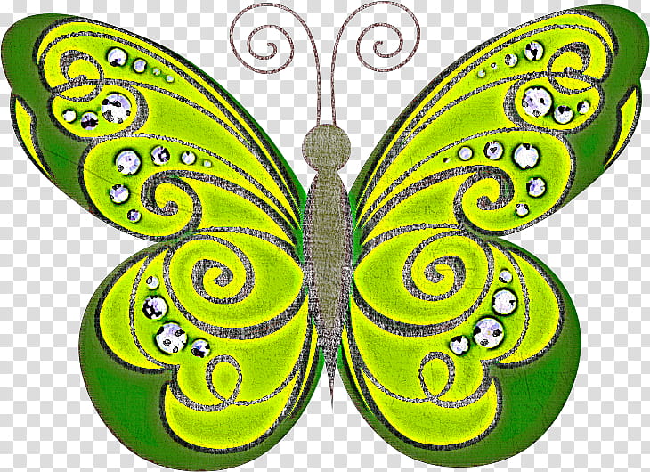 butterfly green insect moths and butterflies wing, Symmetry, Pollinator, Emperor Moths transparent background PNG clipart