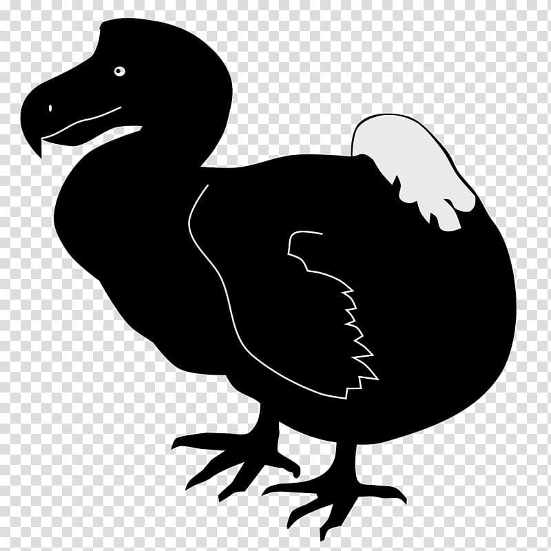 Dodo Bird, Duck, Cygnini, Flightless Bird, Bird Extinction, Ducks Geese And Swans, Dinosaur, Beak transparent background PNG clipart