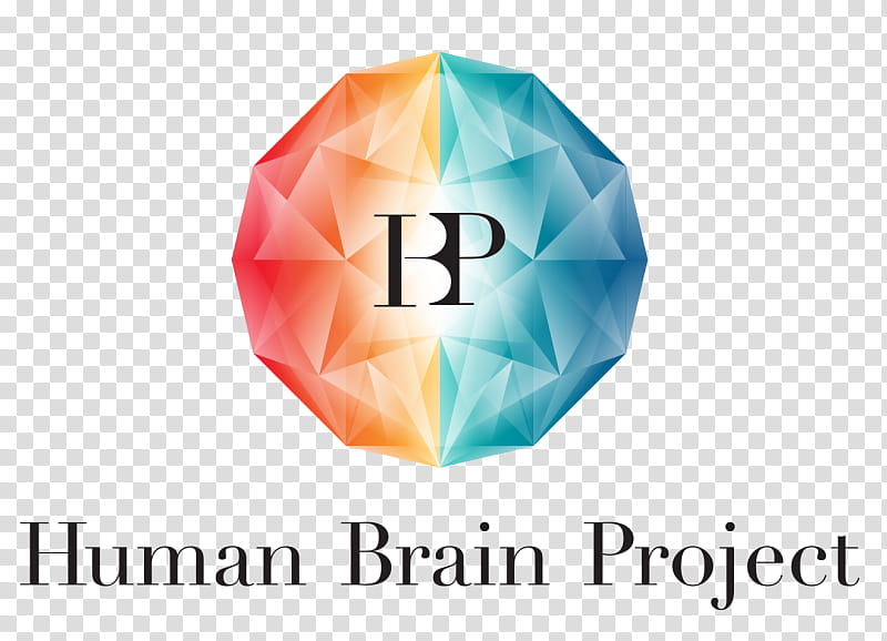 Brain, Human Brain Project, Research, Neuroscience, Future And Emerging Technologies, Fet Flagships, Brain Morphometry, Horizon 2020 transparent background PNG clipart