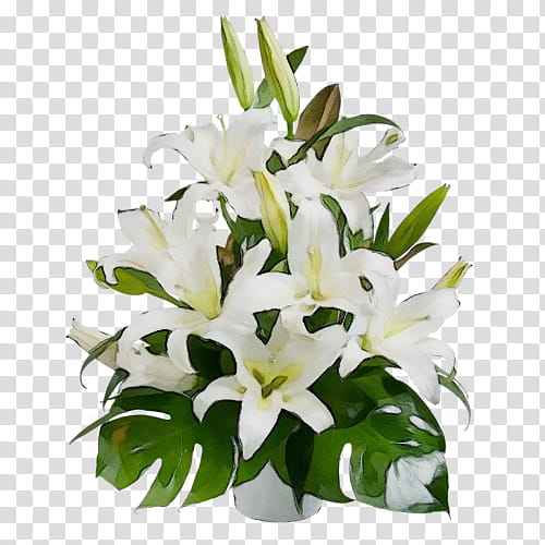 flower lily white plant bouquet, Watercolor, Paint, Wet Ink, Cut Flowers, Vase, Flowerpot, Stargazer Lily transparent background PNG clipart