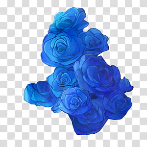 Flowers, blue rose flower transparent background PNG clipart