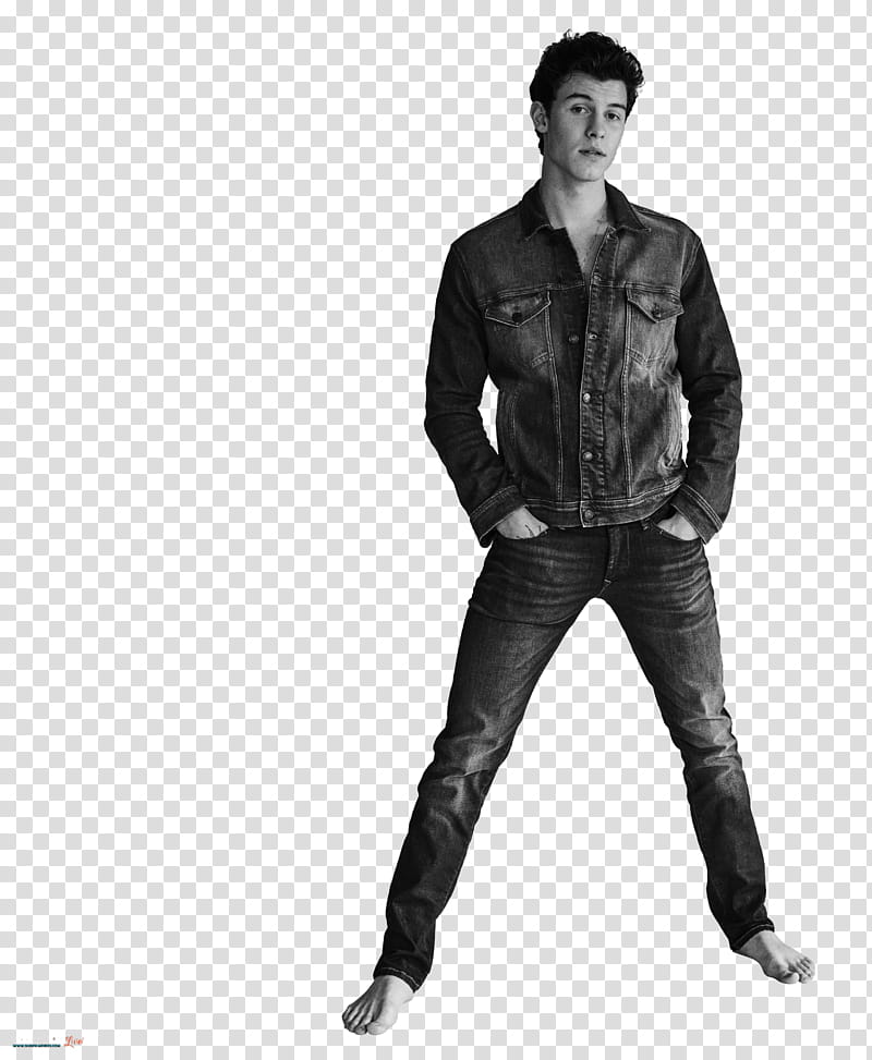 SHAWN MENDES, +shawn mendes transparent background PNG clipart