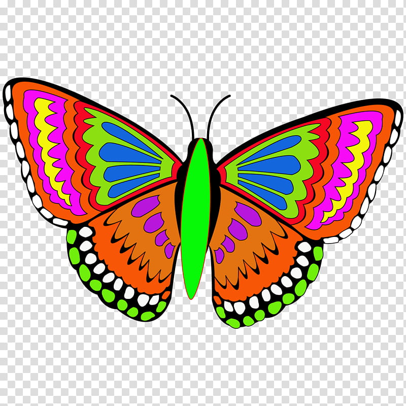 Brush, Monarch Butterfly, Pieridae, Brushfooted Butterflies, Pop Art, Borboleta, Animal, Opinion transparent background PNG clipart