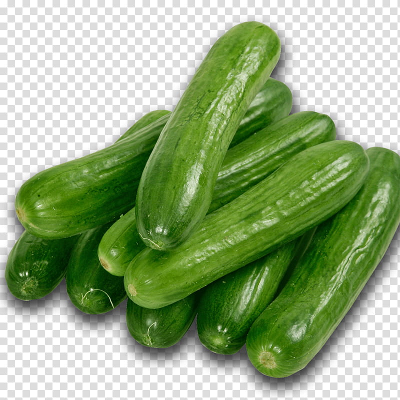 Summer Salad, Pickled Cucumber, Slicing Cucumber, Spreewald Gherkins, Vegetable, Pickling, Bitter Melon, Cucurbits transparent background PNG clipart