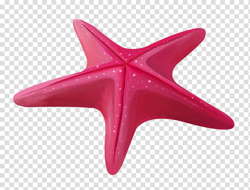 Star, Starfish, Ochre Sea Star, Pisaster, Pink, Magenta transparent background PNG clipart