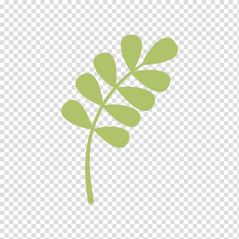 Green Leaf, Fourleaf Clover, Cartoon, Drawing, Plants, Element, Moringa, Flower transparent background PNG clipart