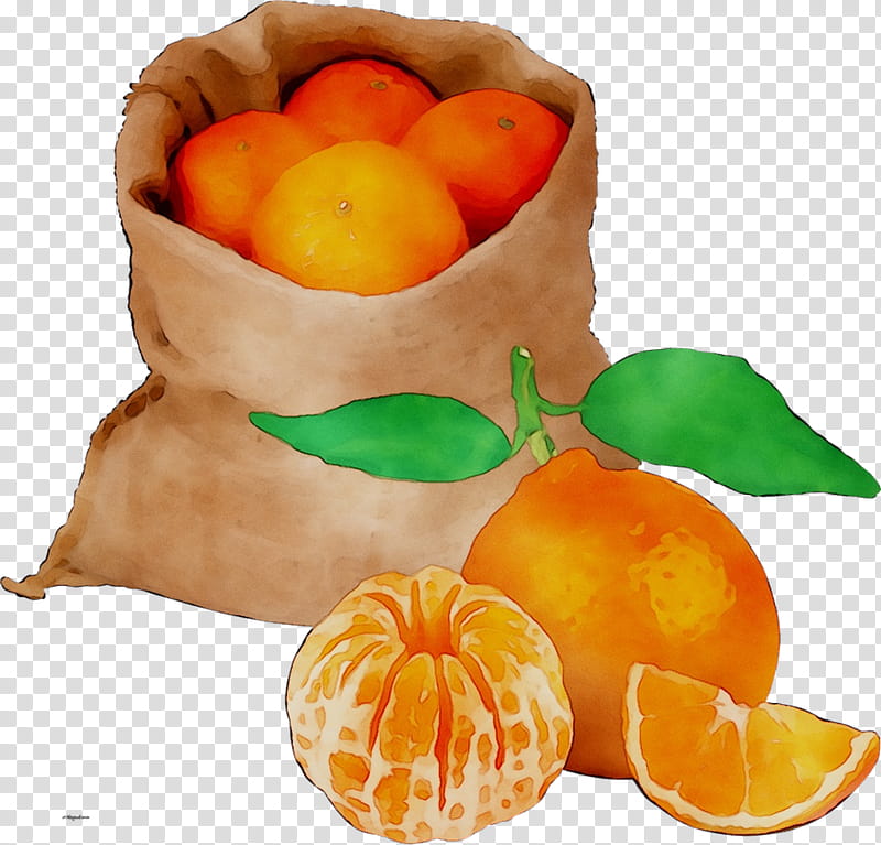 Lemon, Clementine, Mandarin Orange, Tangerine, Grapefruit, Bitter Orange, Valencia Orange, Peel transparent background PNG clipart