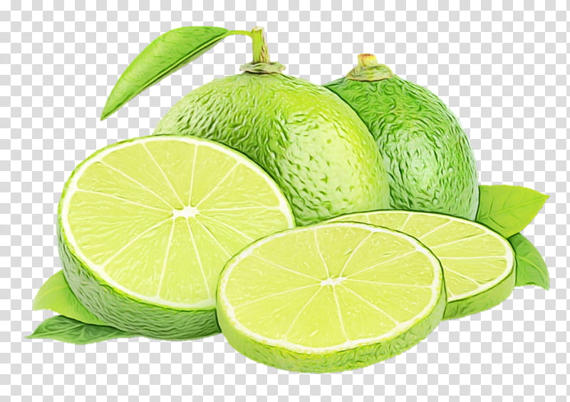 persian lime lime key lime citrus lemon, Watercolor, Paint, Wet Ink, Lemonlime, Fruit, Food, Plant transparent background PNG clipart