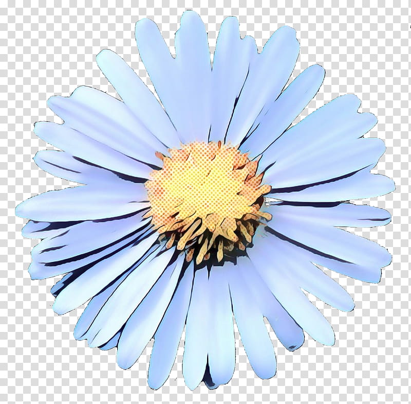 Drawing Of Family, Common Daisy, Chrysanthemum, Flower, Oxeye Daisy, Christian , Margarida, Daisy Family transparent background PNG clipart