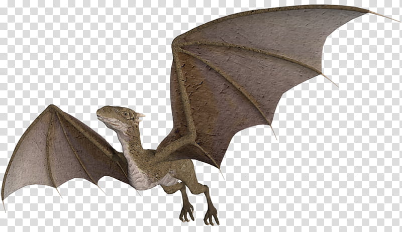 wyvern in flight, gray dinosaur illustration transparent background PNG clipart