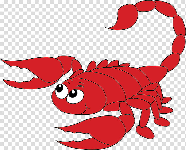 School Background Design, Cartoon, Crab, School
, National Primary School, Red, Decapoda, Scorpion transparent background PNG clipart
