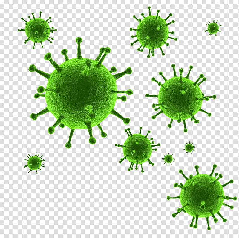 Can Green, Can , , Computer Virus, Display Resolution, Resolution, Organism transparent background PNG clipart