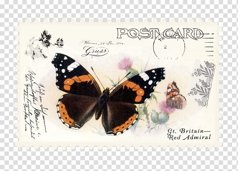Monarch Butterfly Drawing, Brushfooted Butterflies, Red Admiral, Insect, New York, Tattoo, Library, Lepidoptera transparent background PNG clipart