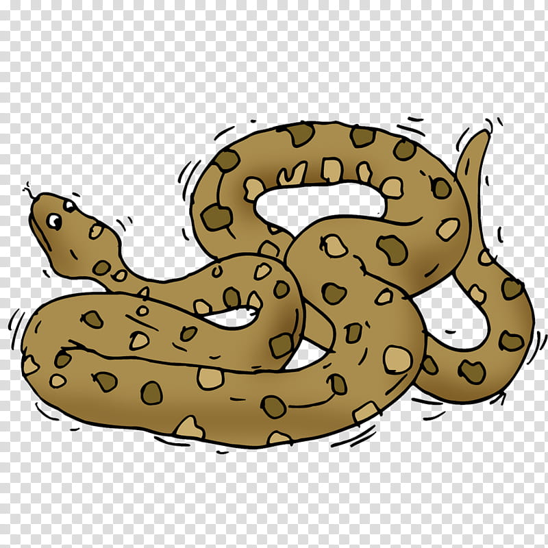 Snake, Snakes, Cartoon, Drawing, Green Anaconda, Text, Python, Reptile transparent background PNG clipart