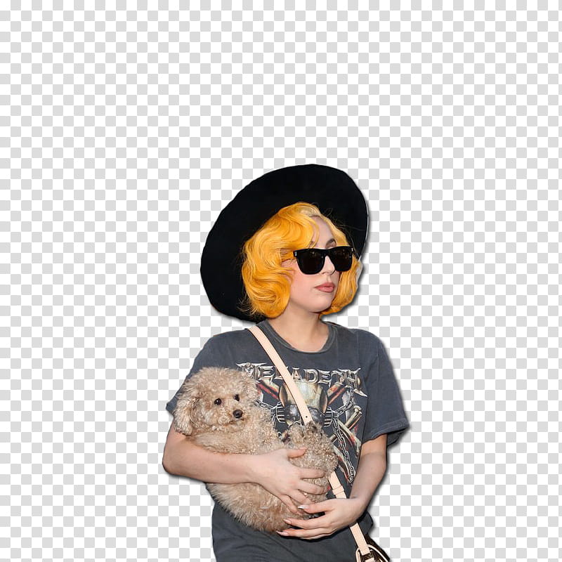 Lady Gaga y Fozzi transparent background PNG clipart