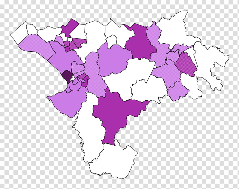 Pink Flower, Cheshire West And Chester Council Election 2015, Voting, Pluralityatlarge Voting, Uk Independence Party, Firstpastthepost Voting, CANDIDATE, Plurality Voting transparent background PNG clipart