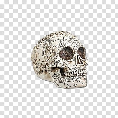 black, white engraved human skull transparent background PNG clipart