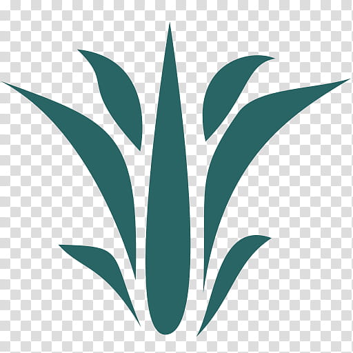 Green Leaf Logo, Sisal, Plants, Plant Stem, Tequila, Flowering Plant, Book, Desktop transparent background PNG clipart
