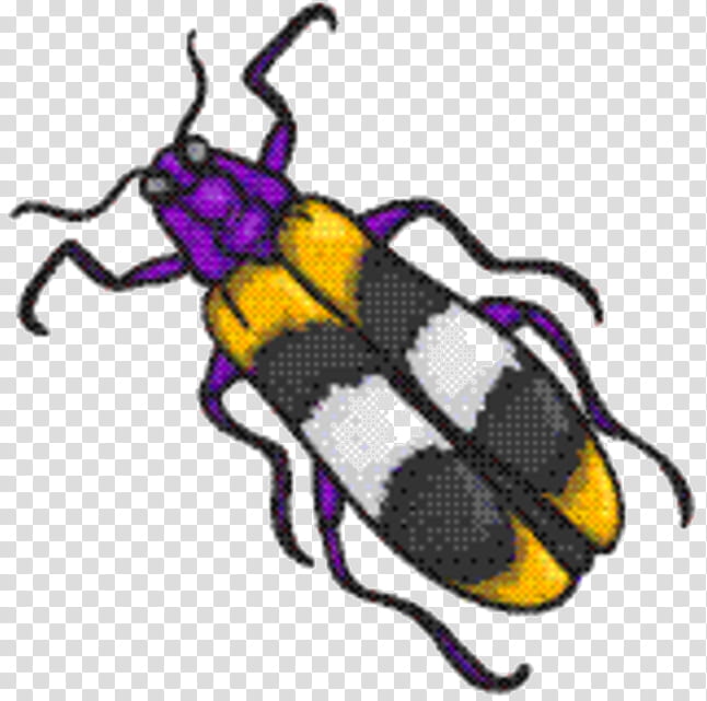 Bumblebee, Insect, Weevil, Purple, Pollinator, Membrane, Invertebrate, Beetle transparent background PNG clipart
