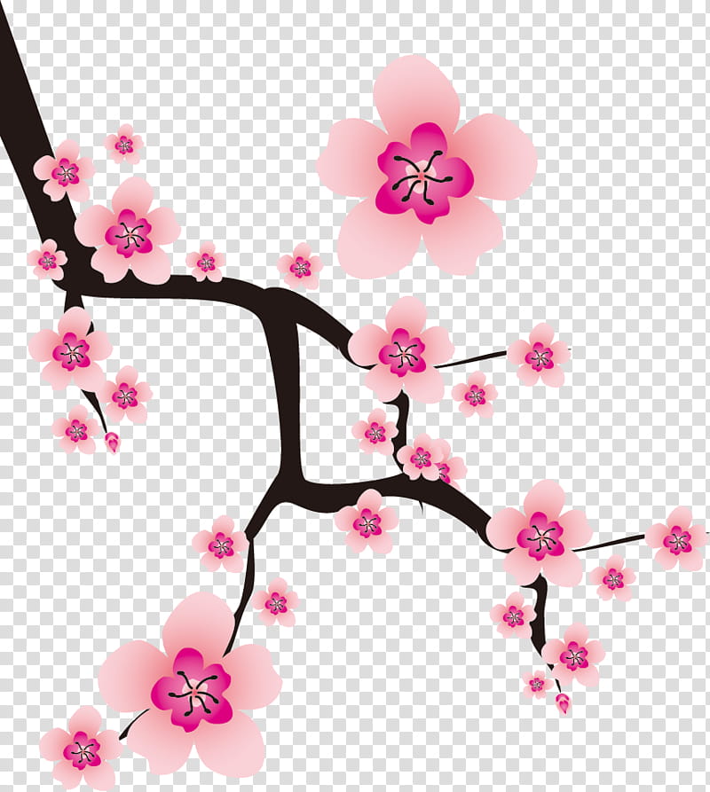 Flowers Cherry, pink cherry blossoms illustration transparent background PNG clipart