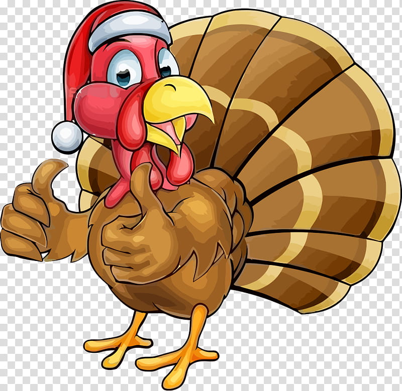 thanksgiving turkey, Thanksgiving Turkey , Chicken, Cartoon, Rooster, Bird transparent background PNG clipart