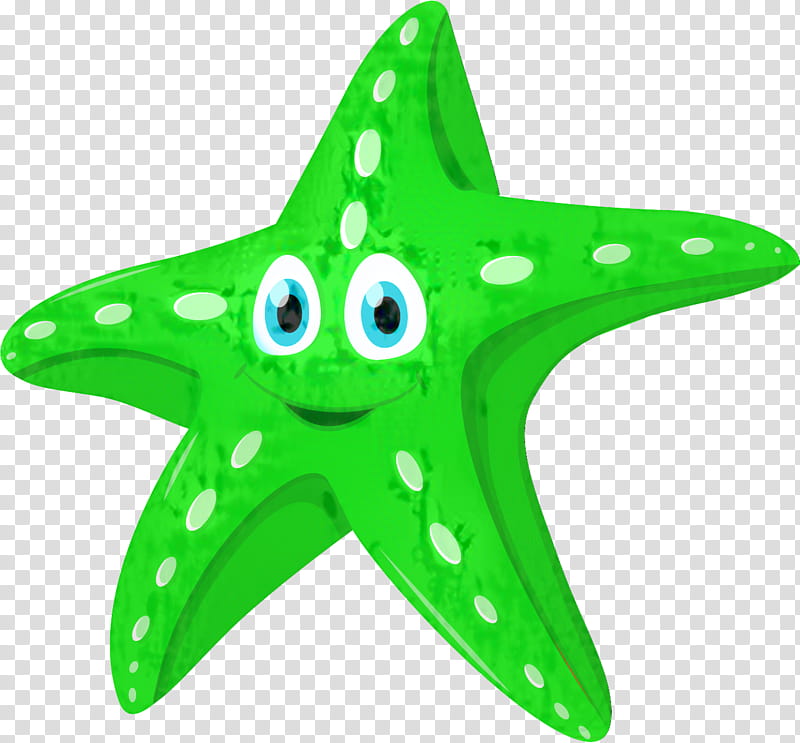 Animal, Starfish, Cartoon, Green transparent background PNG clipart