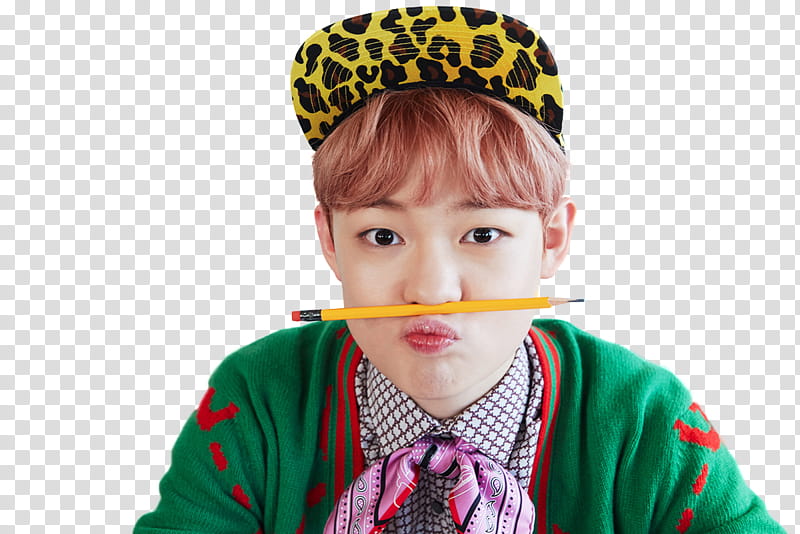 Chenle NCT DREAM , baby's green and pink floral print carrier transparent background PNG clipart
