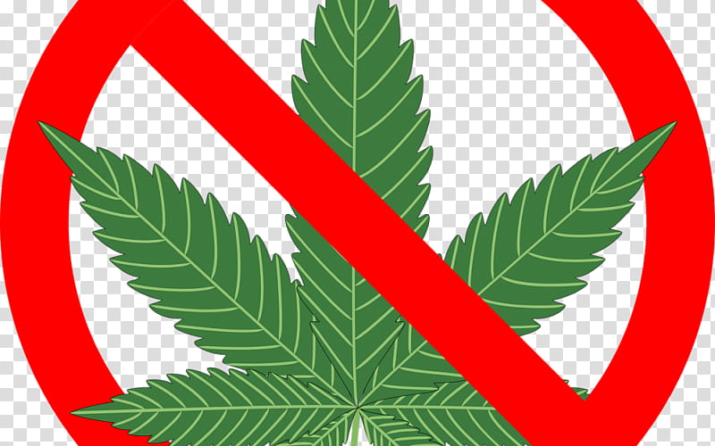Family Tree, War On Drugs, Cannabis, Medical Cannabis, Recreational Drug Use, Cannabis Sativa, Legality Of Cannabis, Addiction transparent background PNG clipart