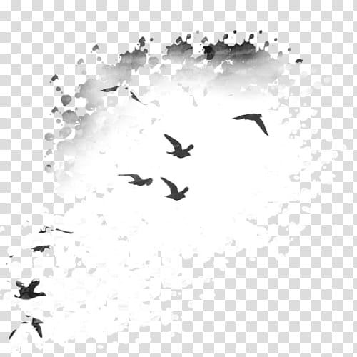 Splatter Pattern S, flock of flying birds illustration transparent background PNG clipart