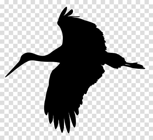 bird beak wing silhouette crane-like bird, Cranelike Bird, Ibis transparent background PNG clipart