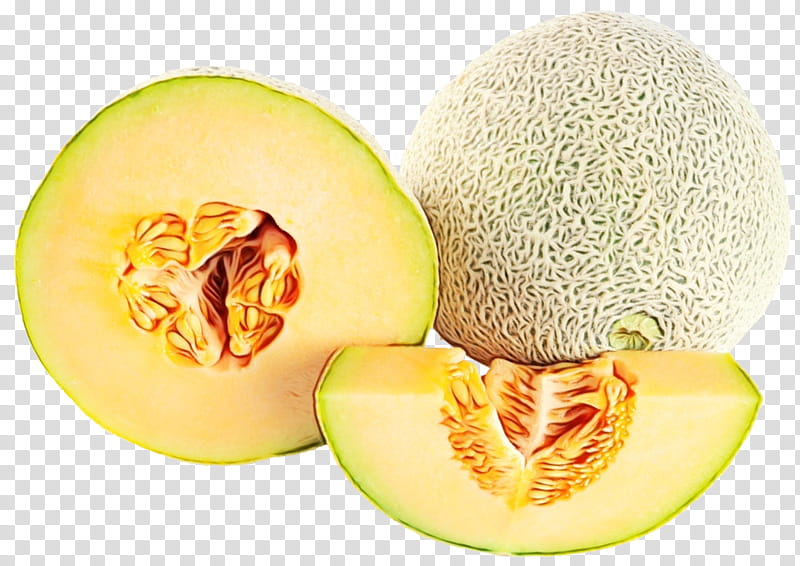 Watermelon, Cantaloupe, Galia Melon, Honeydew, Hami Melon, Canary Melon, Cucurbits, Fruit transparent background PNG clipart