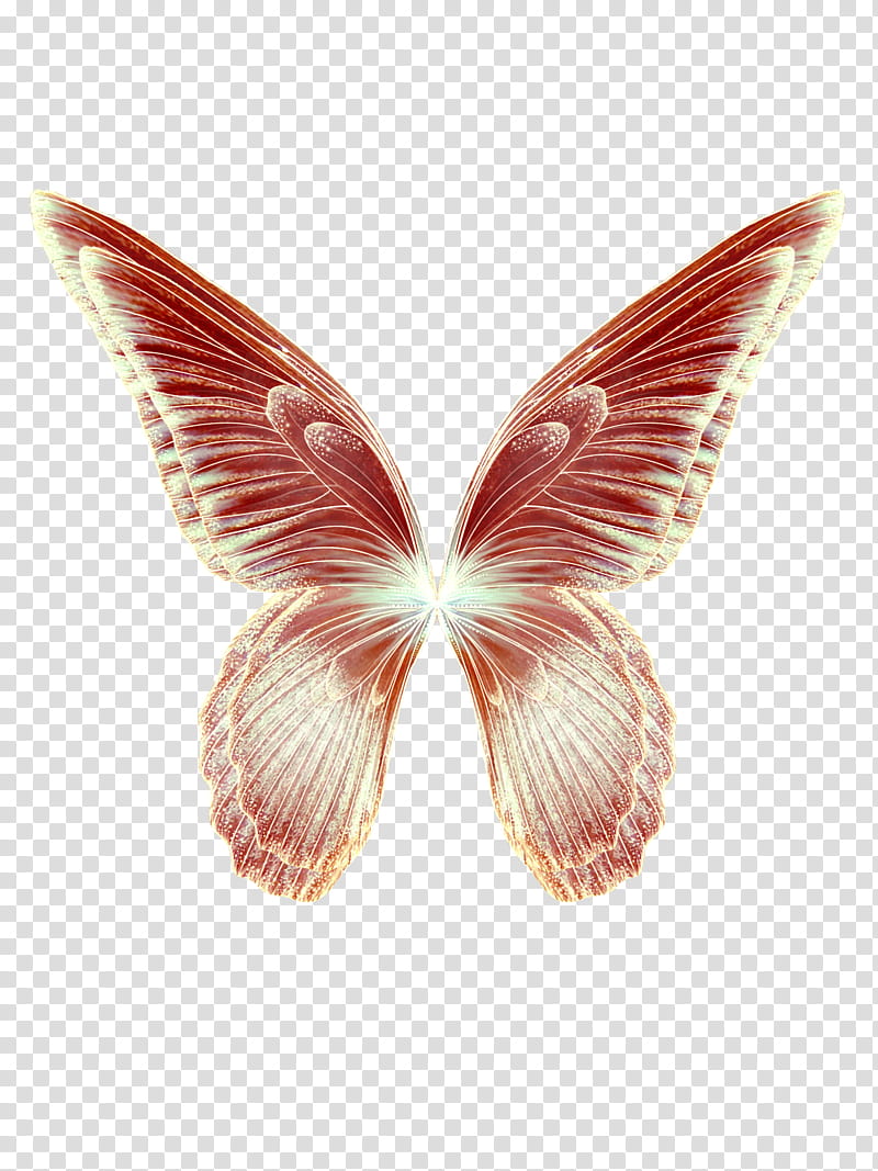 Faerie Wing s, red and white butterfly transparent background PNG clipart