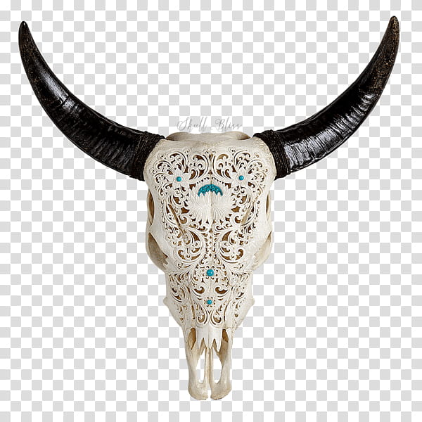 Skull Flower, Cattle, Horn, Xl Horns, Orbit, Carving, Jewellery, Animal transparent background PNG clipart
