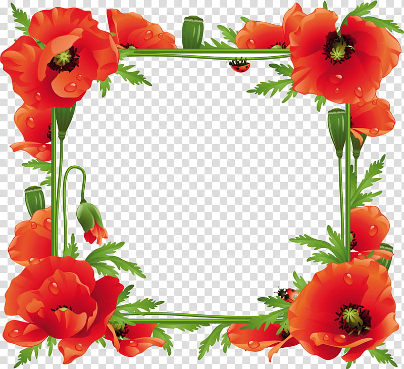 poppy frame flower frame floral frame, Red, Plant, Coquelicot, Petal, Frame, Corn Poppy, Poppy Family transparent background PNG clipart