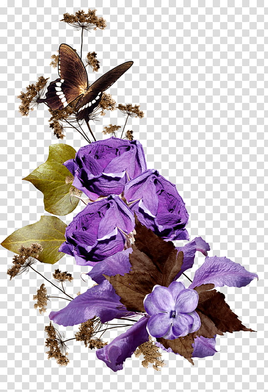 Flowers, BORDERS AND FRAMES, Purple, Lavender, Mauve, Lilac, Floral Design, Violet transparent background PNG clipart