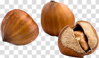 Autumn, three brown Hazelnuts transparent background PNG clipart