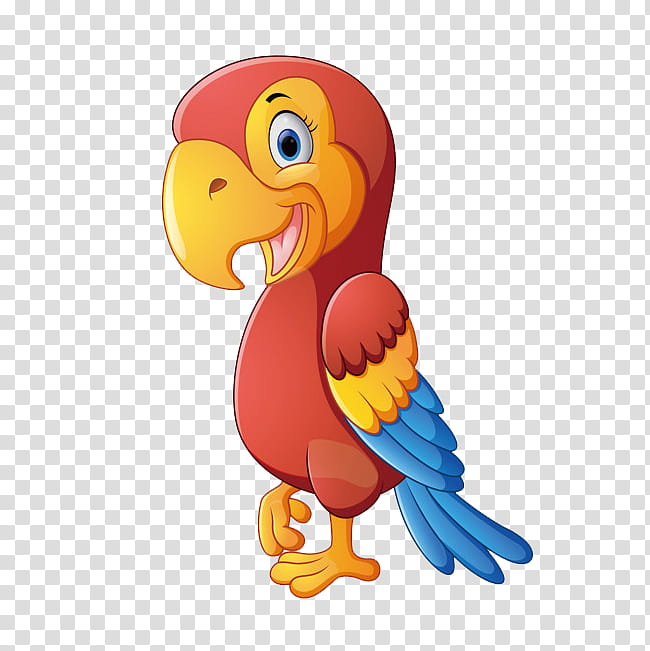 Bird Parrot, Macaw, Beak, Cartoon, Water Bird, Ducks Geese And Swans transparent background PNG clipart