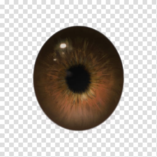 MMD Realistic Eye Textures DL transparent background PNG clipart