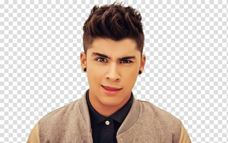 Boy, Zayn Malik, One Direction, On The Road Again Tour, Boy Band, Singer, Celebrity, Take Me Home transparent background PNG clipart