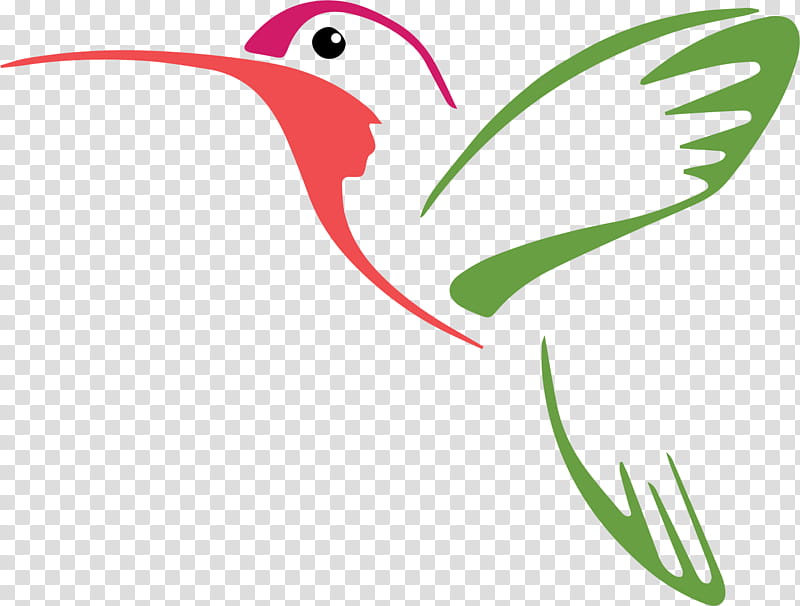 Bird Line Drawing, Hummingbird, Rubythroated Hummingbird, Rufous Hummingbird, Silhouette, Beak, Ibis, Plant transparent background PNG clipart