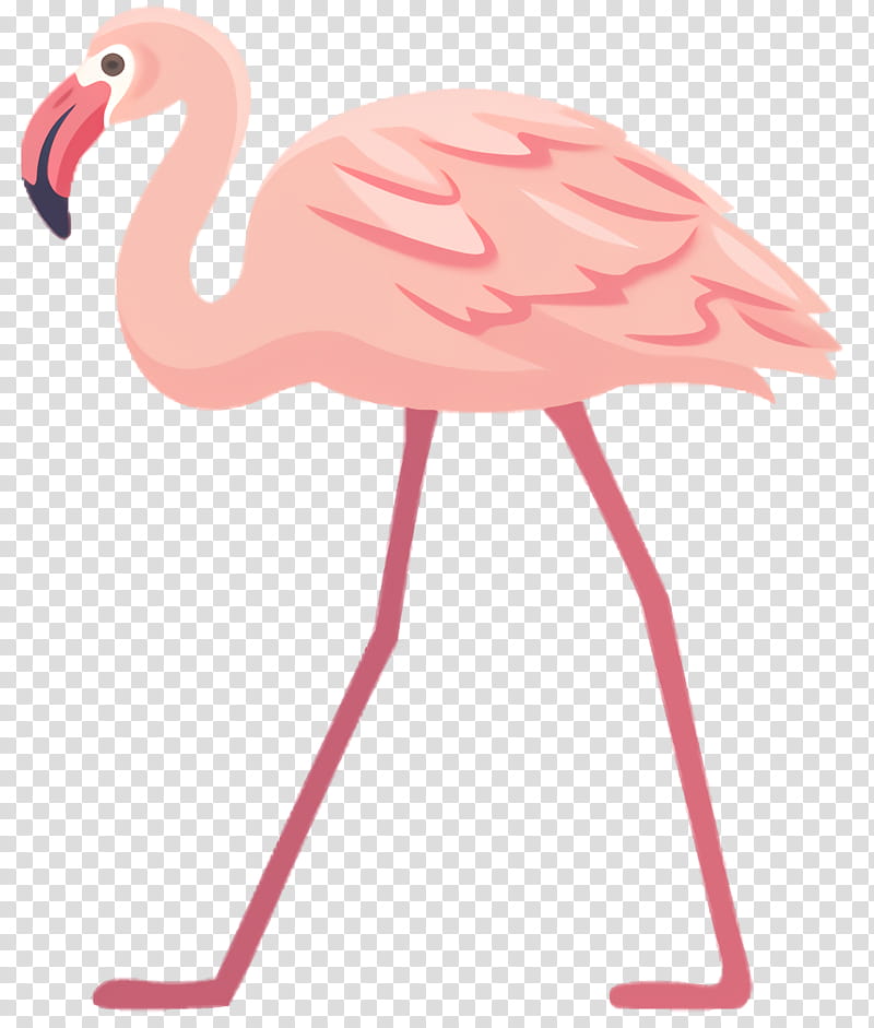 Pink Flamingo, Beak, Pink M, Greater Flamingo, Bird, Water Bird, Neck transparent background PNG clipart