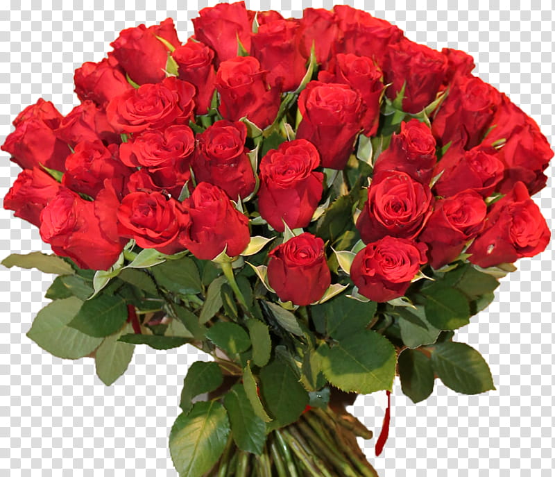 Pink Flowers, Flower Bouquet, Garden Roses, Gift, Floriculture, Birthday
, Krasnodar, Rose Family transparent background PNG clipart