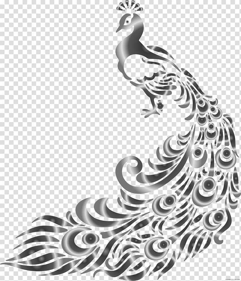 Bird Line Drawing, BORDERS AND FRAMES, Peafowl, Feather, Line Art, Black And White
, Chicken, Beak transparent background PNG clipart