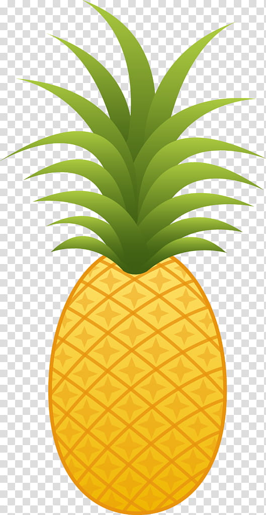 Fruit, Pineapple, Drawing, Food, Pineapples, Ananas, Plant, Orange transparent background PNG clipart